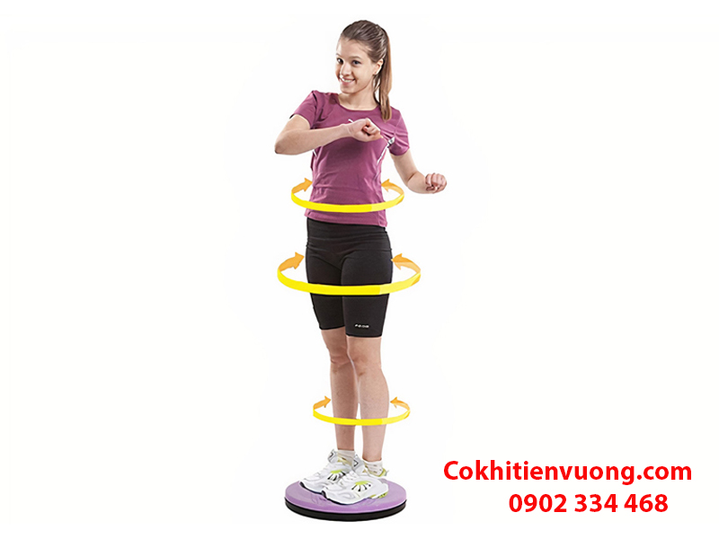 Đĩa xoay eo có tác dụng gì?