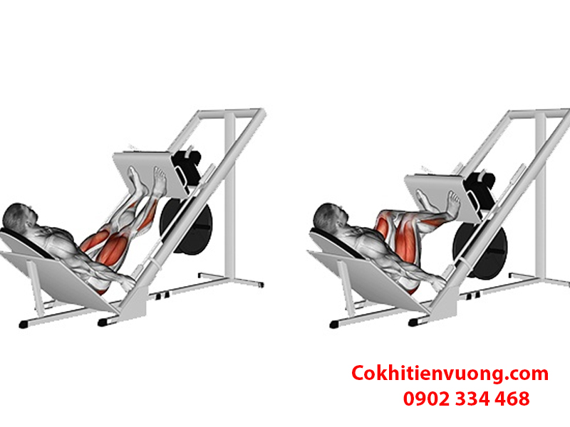 Cách chọn máy tập chân chất lượng