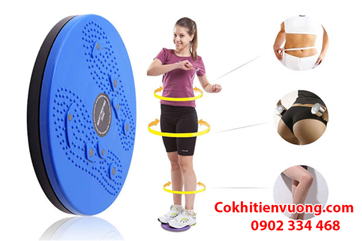 kiến thức về đĩa xoay eo